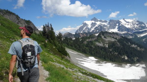 Desert rat in snow at Mt Baker