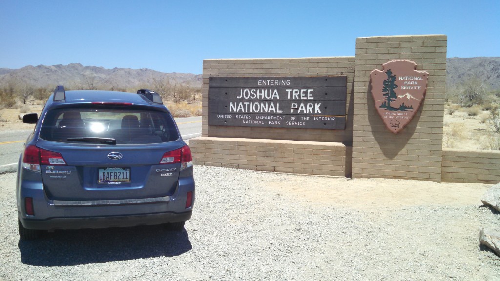 Subaru Outback at Joshua Tree National Park