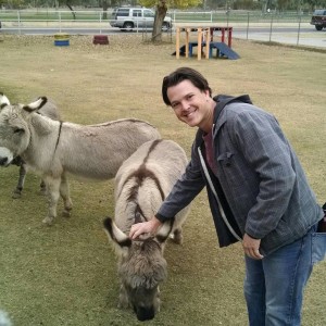 burro in petting zoo