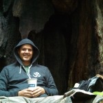 My Bodhi tree is a Coastal Redwood